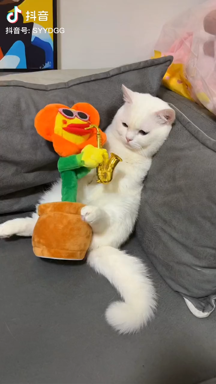 视频位于第一位~